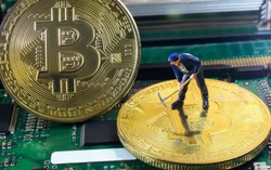 Đào bitcoin và giấc mơ tỷ phú