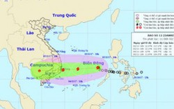 Áp thấp mạnh thành bão số 12 hướng vào bờ biển Bình Định-Ninh Thuận