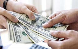 Sinh viên ra trường thất nghiệp cao vì thường đòi lương ngàn đô?