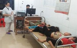 Nghệ An: Theo cha mẹ ra đồng gặt lúa, 5 trẻ bị ong đốt nguy kịch