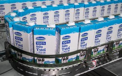 Nhiều doanh nghiệp ngoại đua nhau mua cổ phiếu Vinamilk