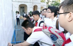 Cha mẹ vắt kiệt sức đầu tư cho con thi vào trường chuyên