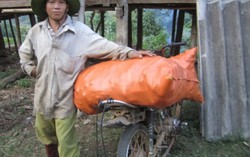 'Ngựa sắt' đại náo vùng biên