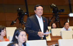 Nên hạn chế đưa vào tù trong xử lý hình sự tội phạm trẻ em