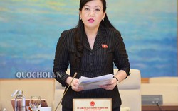 Gần 99% kiến nghị của cử tri được giải quyết, trả lời