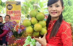 Thủ phủ cam Cao Phong tưng bừng mở lễ hội