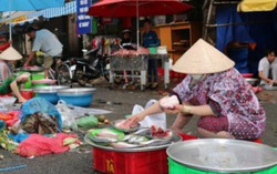 Chợ tự phát là đầu mối của thực phẩm bẩn