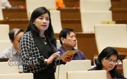 Cần làm rõ khái niệm 'tài năng trong hoạt động công vụ'
