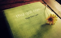 Bí mật tình mẫu tử trên những chuyến bay