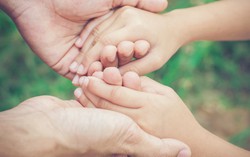 Cháy hợp đồng bảo hiểm nhân thọ, tư vấn viên của Bảo Việt Nhân thọ tự tìm đến gia đình