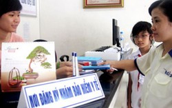 Hơn 11 triệu hộ gia đình đã tham gia Bảo hiểm Y tế năm 2016