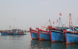 Quảng Bình: Cưỡng chế 1 số chủ tàu không chịu lên bờ tránh bão