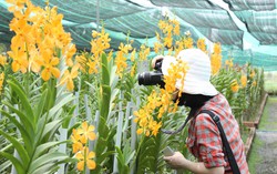 Trải nghiệm thú vị tại Nông Trang Xanh sát Sài Gòn chỉ với 50.000đ