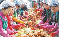 'Làng mới' và sự phát triển thần kì của Hàn Quốc (P5)