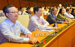 Sẽ xử lý hình sự hành vi mua bán, sử dụng vũ khí tự chế trái phép