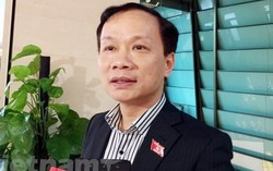 Thực phẩm bẩn: Nhiều đơn vị quản lý nhưng khó quy trách nhiệm