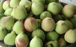 Tẩy lông trên quả đào bằng nước muối