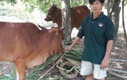 Quĩ, phí oằn vai: Chủ tịch xã thấy buồn, xấu hổ