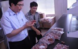 Rút ngắn thời gian cho vải xuất khẩu đi Úc