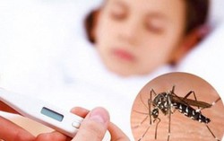 Bà Rịa-Vũng Tàu: Sốt xuất huyết tăng mạnh, 5 người tử vong