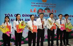 Tỉnh Đồng Tháp ra mắt Tòa Gia đình và người chưa thành niên