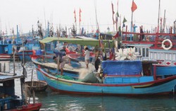 Bão số 14 tiến gần bờ, Nam Trung bộ lại căng mình chống đỡ