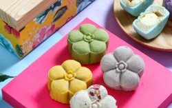 Chọn dụng cụ làm bánh trung thu homemade