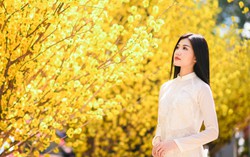 Mai của phim 'Những cô gái trong thành phố' tinh khôi đón xuân 