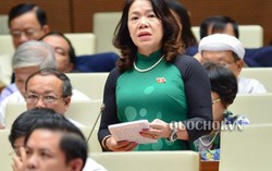 ĐBQH băn khoăn về ‘lỗ hổng’ quản lý trường học chất lượng cao