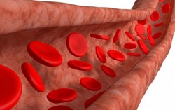 Áp dụng những biện pháp tự nhiên để ngăn ngừa cục máu đông