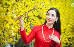 Top 10 Miss Photo 2017 Thạch Thảo rực rỡ áo dài đón Tết