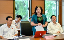 Cần có chính sách để phụ nữ yếu thế được tiếp cận và hưởng lợi từ rừng