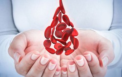 Bầm tím cơ thể có thể là dấu hiệu ung thư