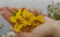 Hoang mang khi anh chưa nói lời yêu 