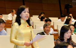 Đại biểu lo ngại về hạn chế đánh giá tác động giới trong xây dựng luật