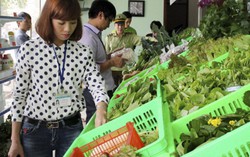 15/4: Bắt đầu Tháng hành động vì an toàn thực phẩm 2019 
