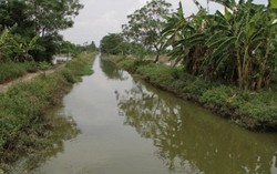 Tìm thấy thi thể bé trai 4 tuổi mất tích ở Nam Định