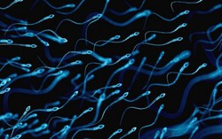 Phát hiện mới về khả năng tồn tại của virus Zika trong tinh trùng