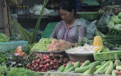 TP.HCM tăng cường kiểm tra chất lượng rau củ quả và thịt