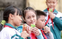 Đậu nành: Nguồn dinh dưỡng lành cho trẻ lấy đà phát triển toàn diện