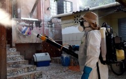 TPHCM thêm 10 ca nhiễm Zika chỉ trong 1 ngày