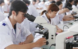 Nâng tuổi nghỉ hưu: Cần bình đẳng giữa nam và nữ
