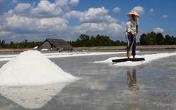 Diêm dân Cần Giờ hoang mang trên đống muối được mùa