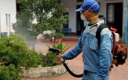 4 cách diệt trừ muỗi truyền bệnh sốt xuất huyết
