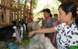 "5 không, 3 sạch" của phụ nữ xứ Dừa 