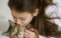 Nuôi mèo giảm nguy cơ mắc bệnh hen suyễn