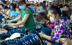 Tỷ lệ bù lương hưu hỗ trợ lao động nữ bị thiệt được đề xuất thế nào?