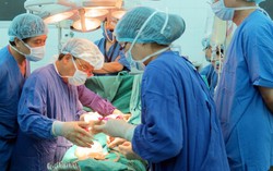 Phát động cuộc thi viết 'Trao tặng yêu thương - Nối dài sự sống'