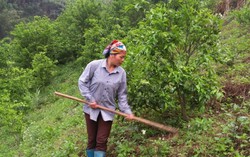 Phụ nữ Bắc Kạn góp sức ứng phó với biến đổi khí hậu