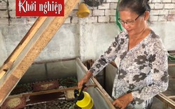 'Muốn kiếm tiền bộn từ nuôi dế, phải tìm nguồn thức ăn sạch'